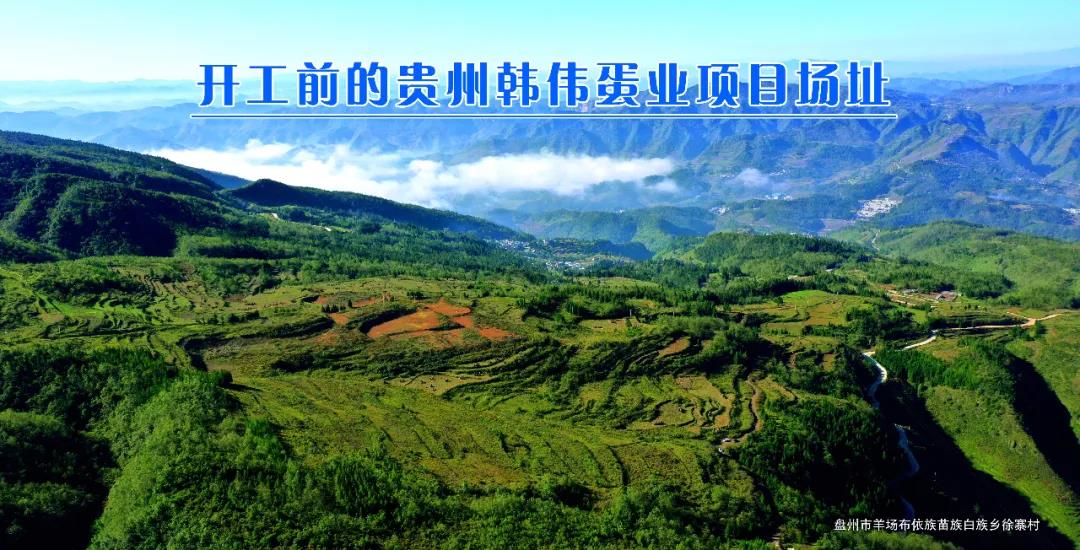 微信图片_20201014081325.jpg 微信图片_20201014081325.jpg