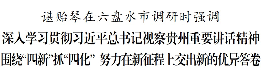 0.png 0.png