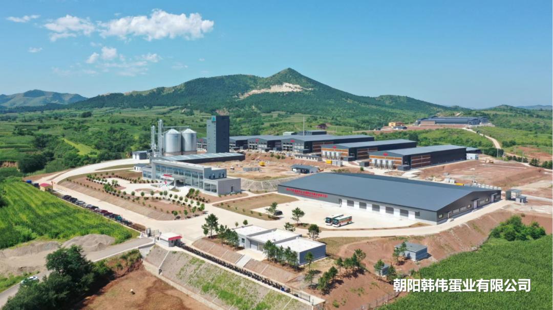 图片17.jpg 图片17.jpg