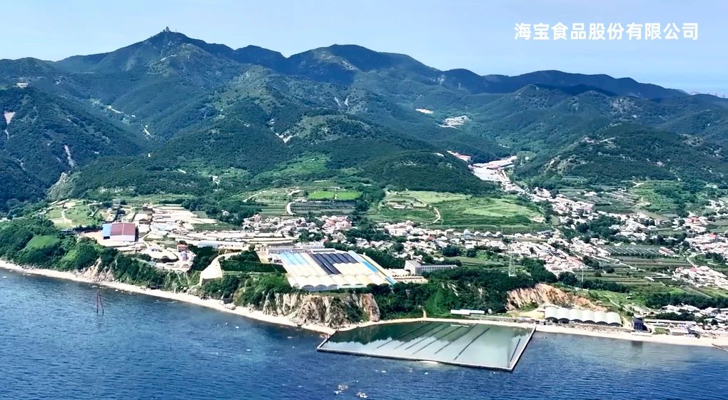 海宝.jpg 海宝.jpg