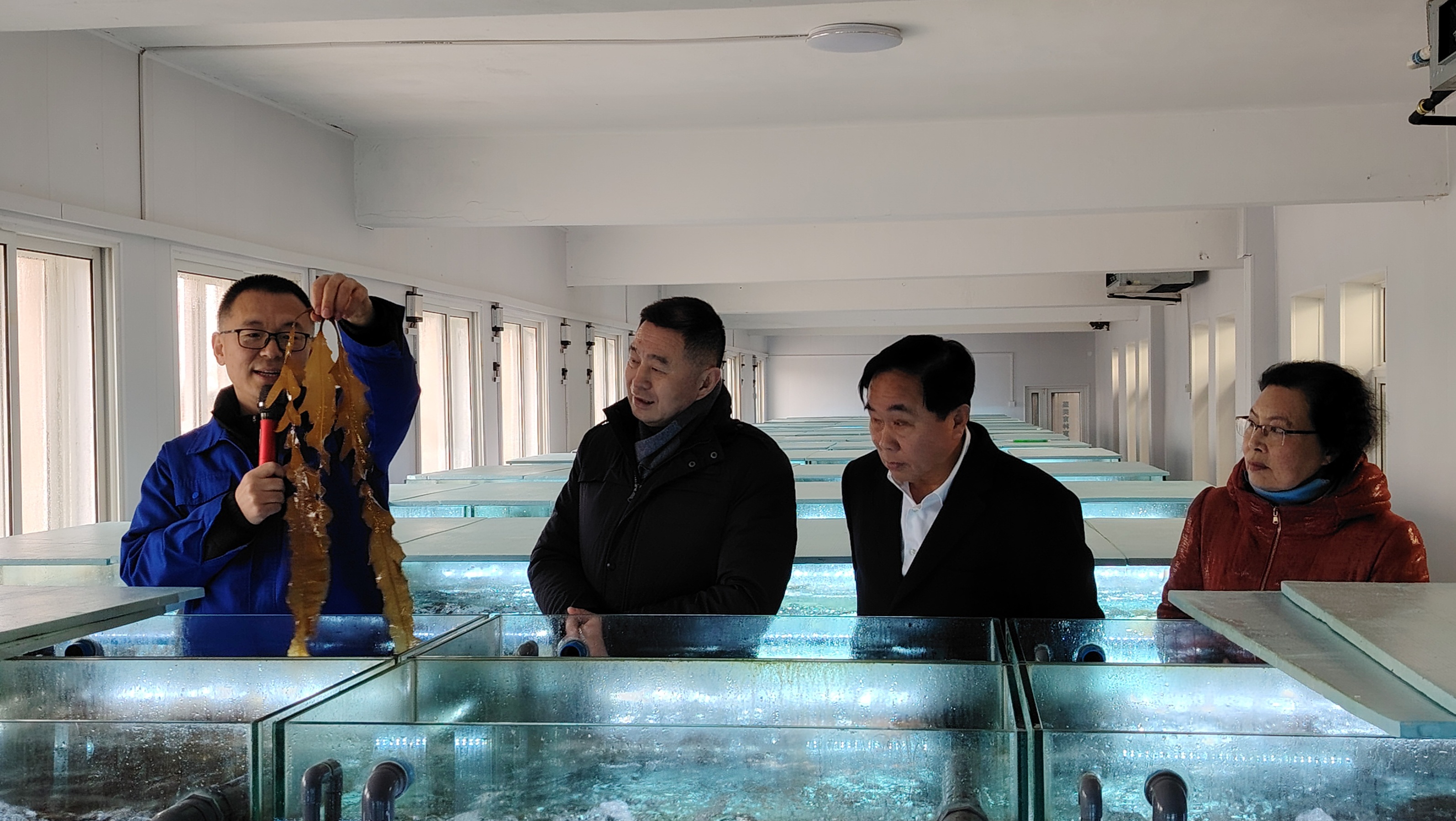 大连市副市长周振雷莅临韩伟集团考察调研